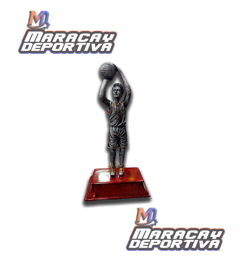 Trofeo Resina Basket