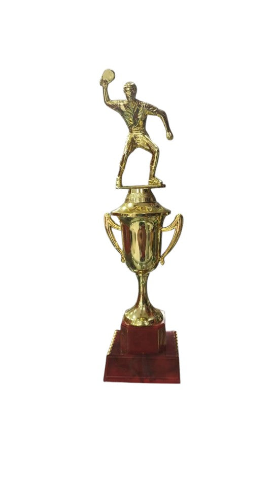 Copa, Trofeo CGRN-OIL