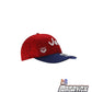 Gorra Venezuela RS