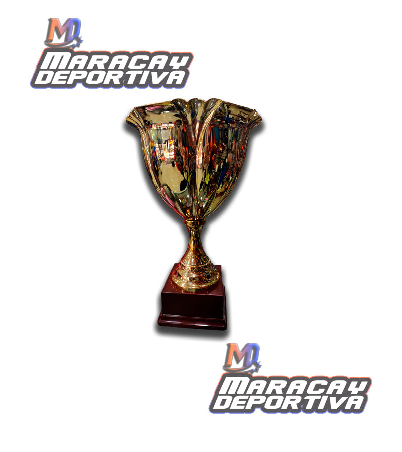 Copa, Trofeo Alta Gama Eva