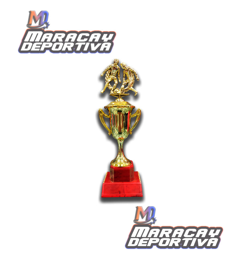 Copa, Trofeo CGRN-OIL