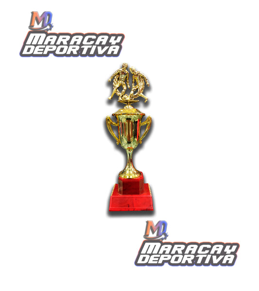 Copa, Trofeo CGRN-OIL