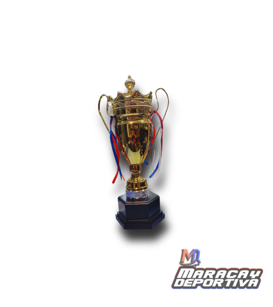 Trofeo Multideporte 53cm