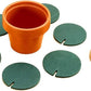 Posa Vasos Cactus