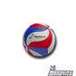 Balon de Voleibol Regent