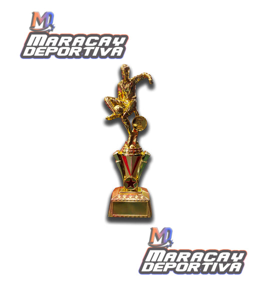 Trofeo Futbol Dorado A