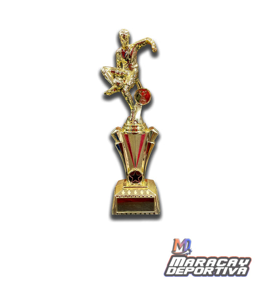 Trofeo Futbol Dorado B