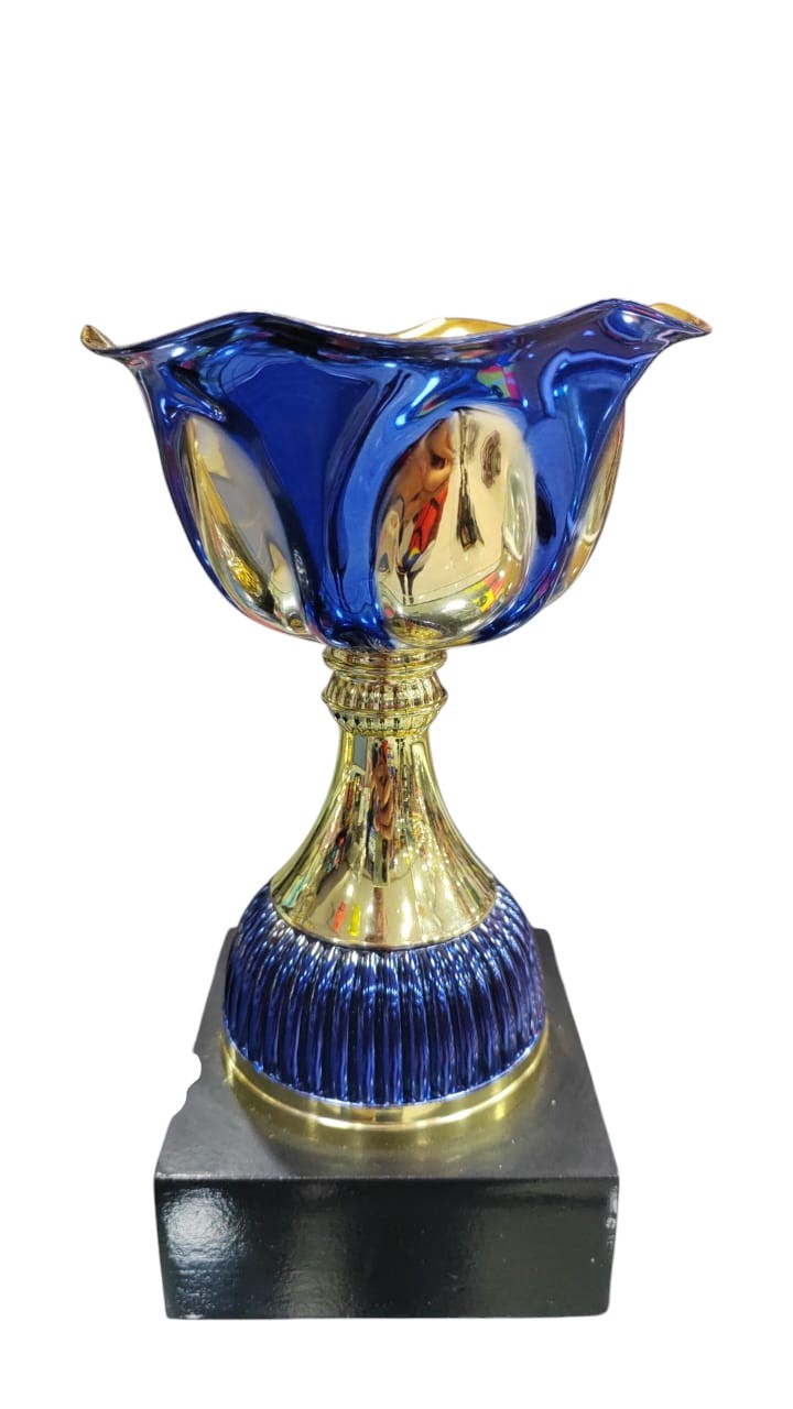 Copa, Trofeo Cat 21CMS