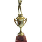 Copa, Trofeo CGRN-OIL