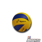 Balon de Voleibol Regent