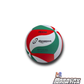 Balon de Voleibol Regent