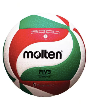 Balon Molten FIVE 5000