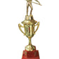 Copa, Trofeo CGRN-OIL