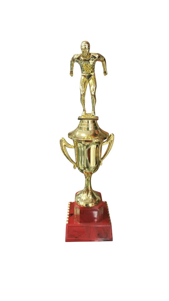 Copa, Trofeo CGRN-OIL