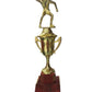 Copa, Trofeo CGRN-OIL
