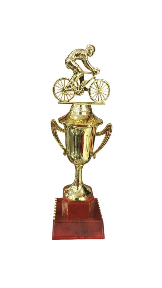 Copa, Trofeo CGRN-OIL