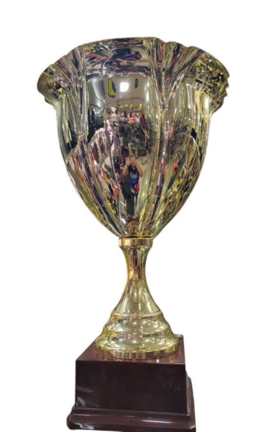 Copa, Trofeo Alta Gama Eva