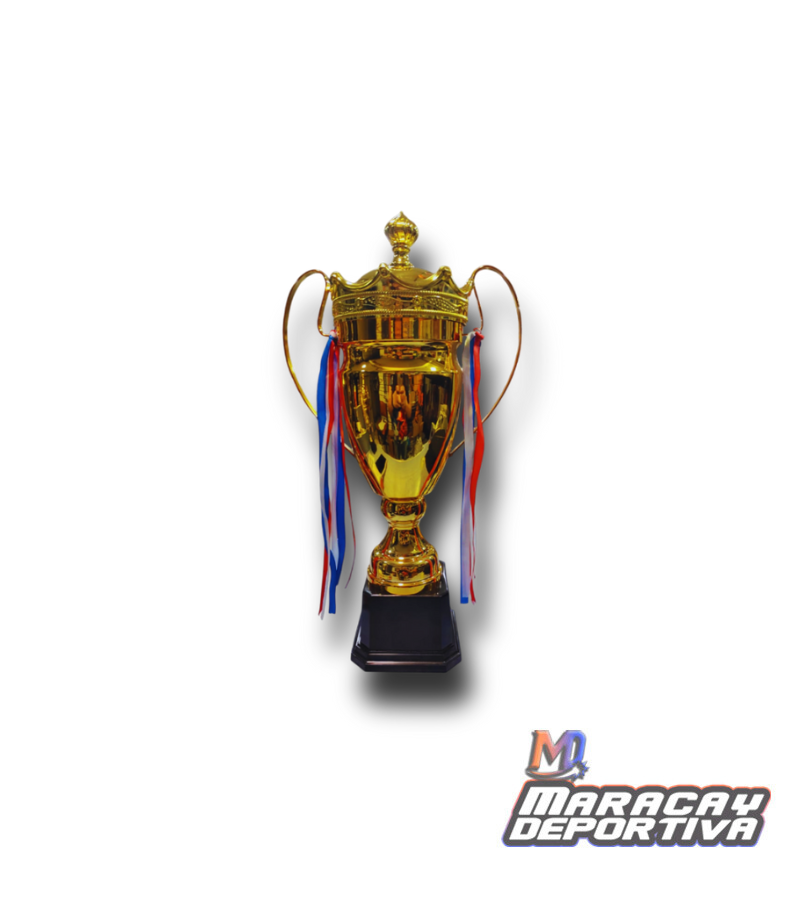 Trofeo Multideporte 49cm